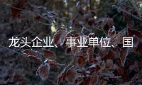 龙头企业、事业单位、国企…珠海全年推出超5万个优质岗位
，60个百万以上年薪岗位