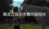 黑龙江绥化市青冈县相关服务行业企业有序复业复市 餐饮业堂食仍被禁止