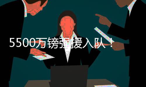 纽卡老将威尔逊离队之后