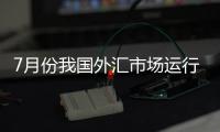 7月份我国外汇市场运行保持理性有序