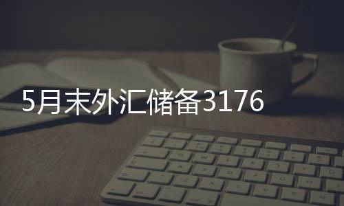 外汇当月外汇储备规模下降