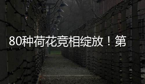 查看“琴智行”线路列表