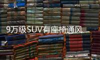 9万级SUV有座椅通风，韩系合资反击，起亚赛图斯有希望吗	？