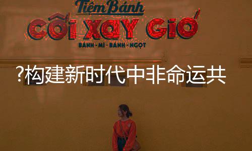 积极发展可再生能源