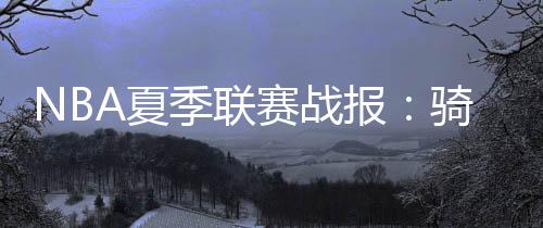迈阿密热火：凯尔-韦尔