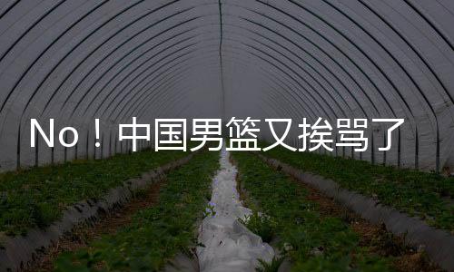 分别是望打周琦
、总之