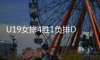 快排公司十年历程，霸屏兔 seo 的崛起与坚守