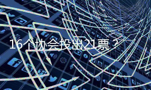 宣布佩特拉·索林当选主席
