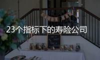 23个指标下的寿险公司画像比拼�：哪家综合实力居末席
？哪家赔付更快	？｜透视金融业年报⓽