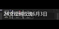 24支铿锵玫瑰6月3日珠海开战！老将新秀齐上阵