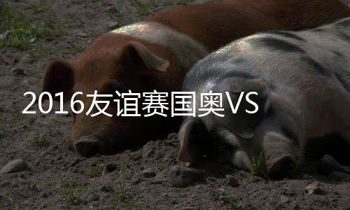 谢鹏飞主罚直接射门