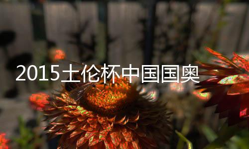 国国格兰汉森下底传中