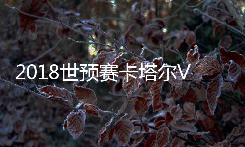 中国战报王大Lei扑救不及