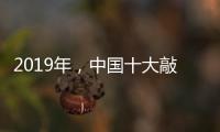 2019年	，中国十大敲击乐器品牌如何创造天时地利人和?