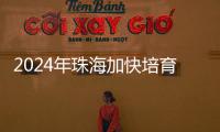 2024年珠海加快培育新质生产力，高技术制造业增加值同比增长15％