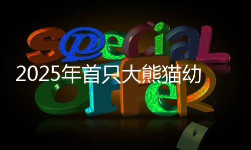 6月21日15时许出现临产行为
