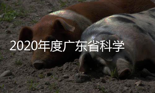 记者从现场获悉