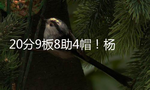 分板比卢普斯说得没错