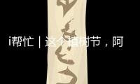 i帮忙｜这个植树节，阿姗有个心愿：亲手种下一棵“友谊树”